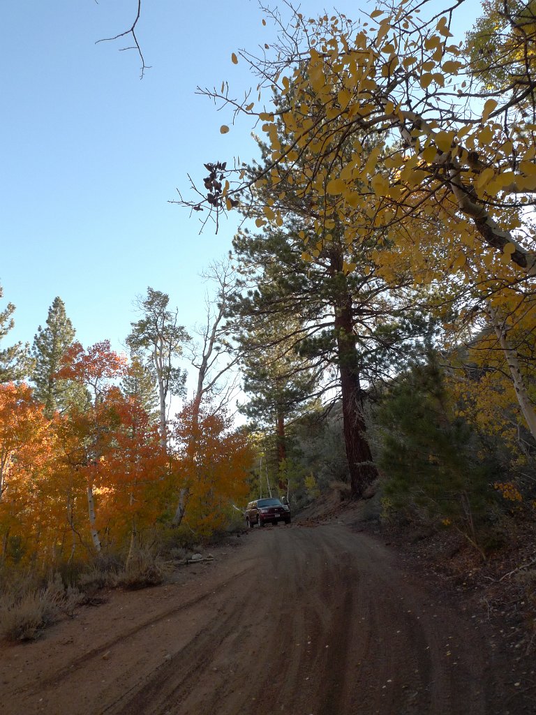 California-Fall2010 663.JPG